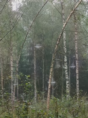 Apstājies uz mirkli un ieelpo