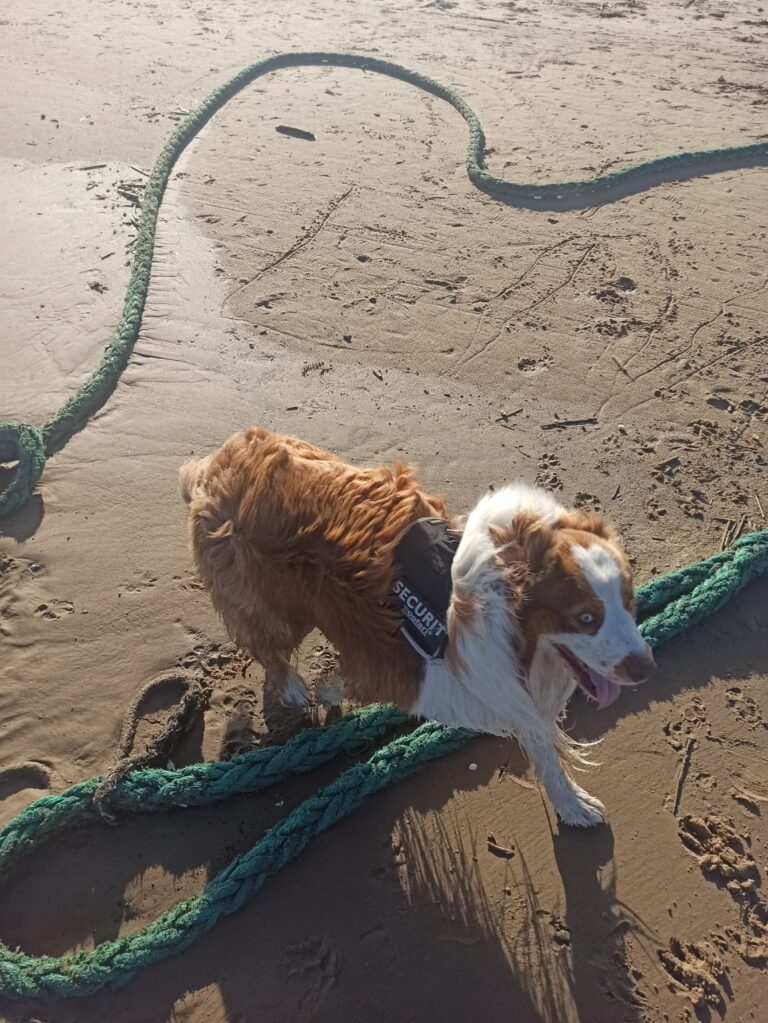 Pirmā ilūzija – robežu neesamība