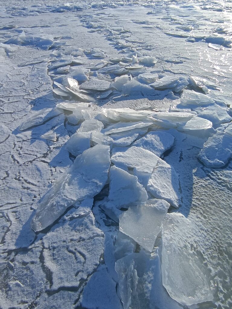 Februāris 2026.gads