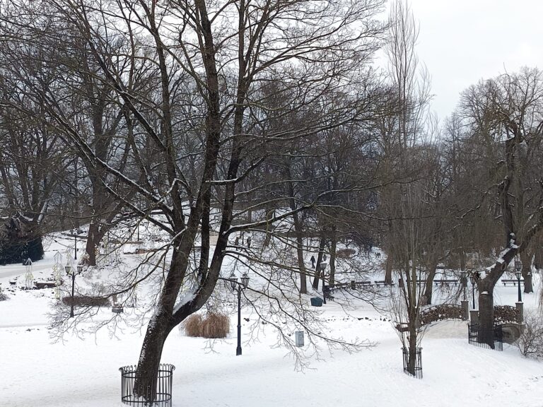 Gaisa mantras prakse ar AUM vibrāciju -dabisks balsts veģetatīvajai nervu sistēmai