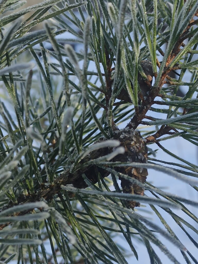 Gaiss — mūsu telpā, elpā un dzīvē, gaiss mūsu līdzsvara pamatnoteikums