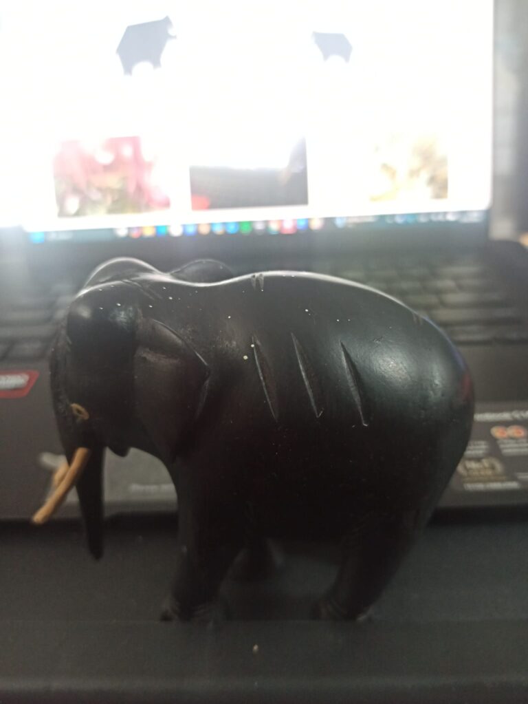 Klusā Amāvāsja: Saules aptumsuma un Jaunmēness cikls17.02.2026 plkst. 14:01 Latvija pēc Lahiri džjotiš