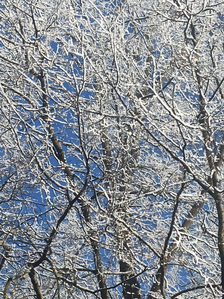 Pirmdiena (mēness diena) – Gaiss un emocijas