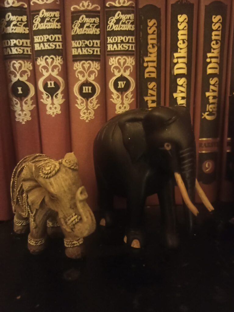 Par akmeņiem, ko nesam līdzi