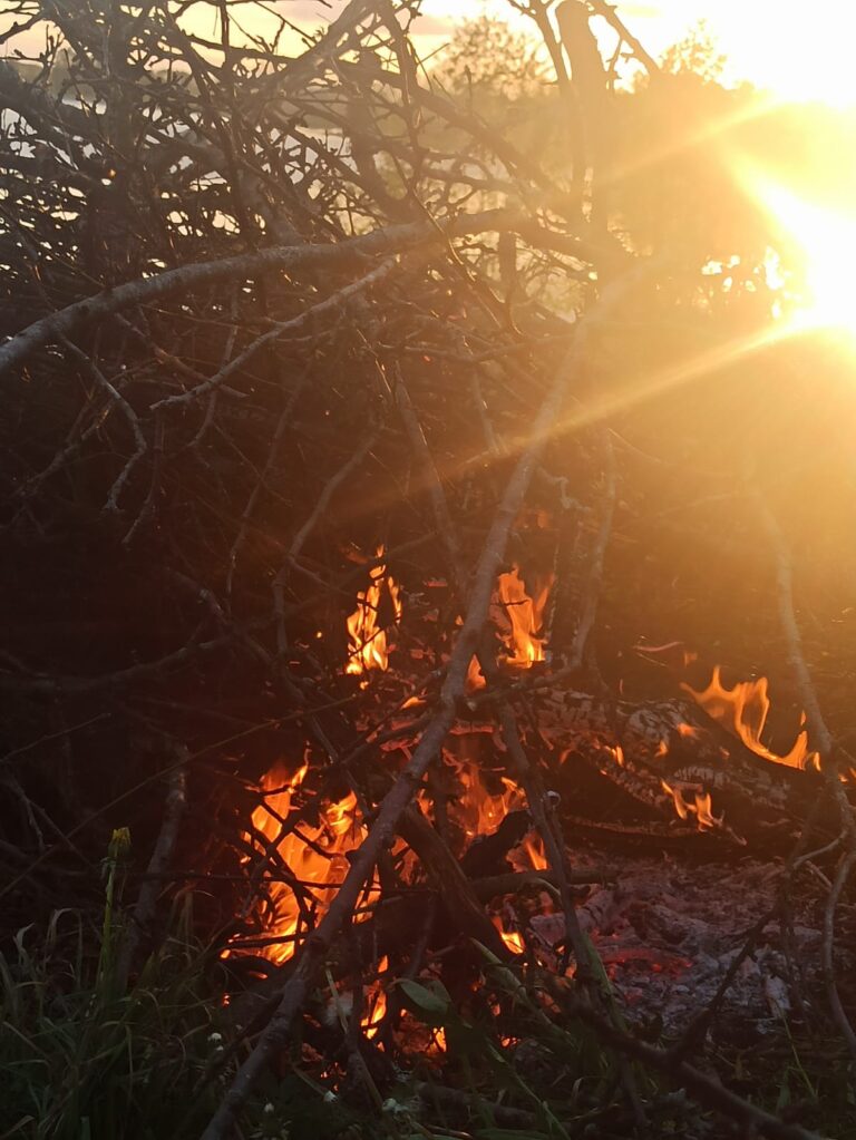 Uguns – Kosmiskā griba un iekšējā saule