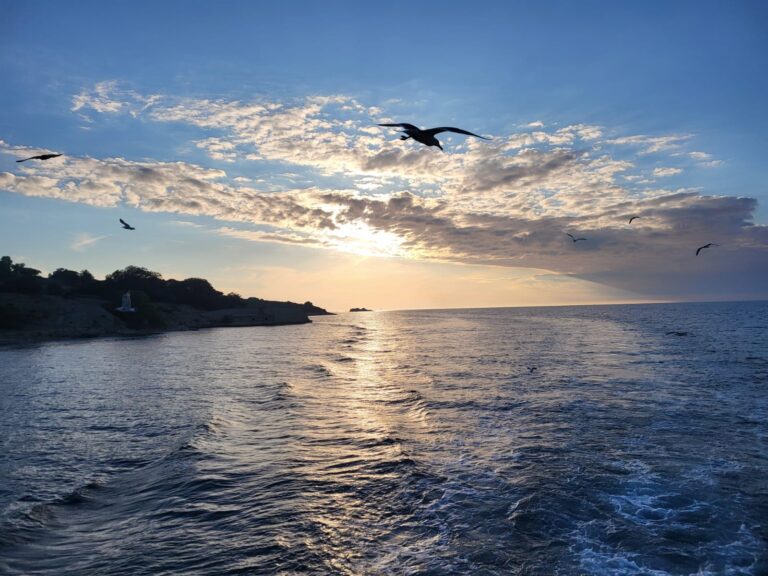 Gēni, ieradumi vai zemūdens akmeņi (Kāpēc ir notikumi, kuri atkārtojas)