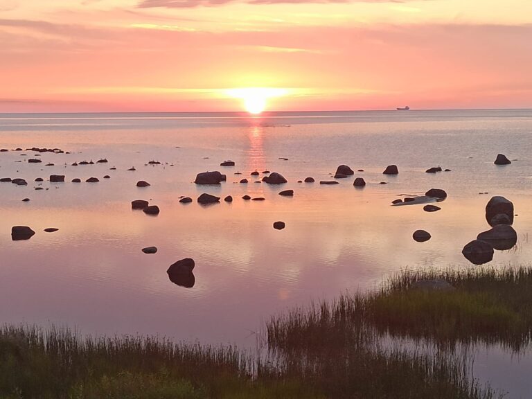 Laika Spirāle: Vēdu četri laikmeti no kosmosa līdz sirdij