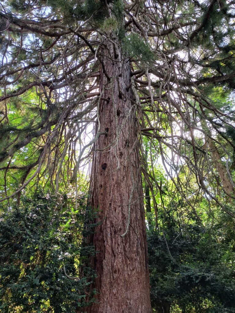 Trešdiena – Merkura diena, kas notiek kad Uguns iepūš gaisā?