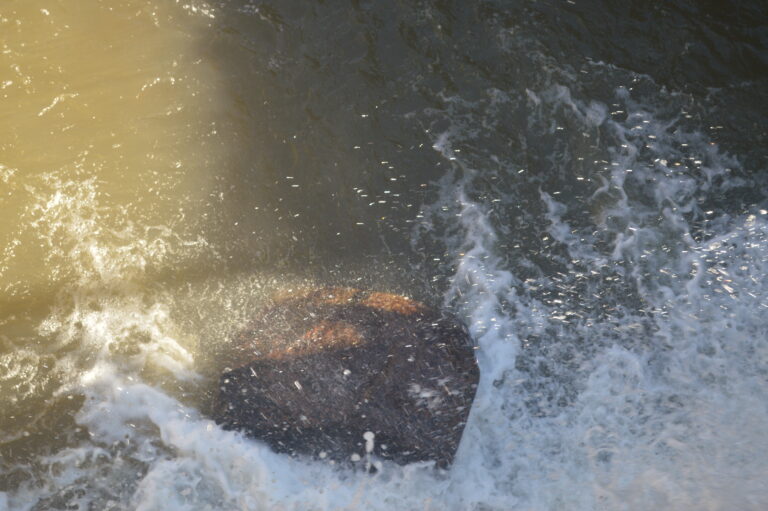 Nodoma spēks – Ūdens “Ieprogrammēšana”