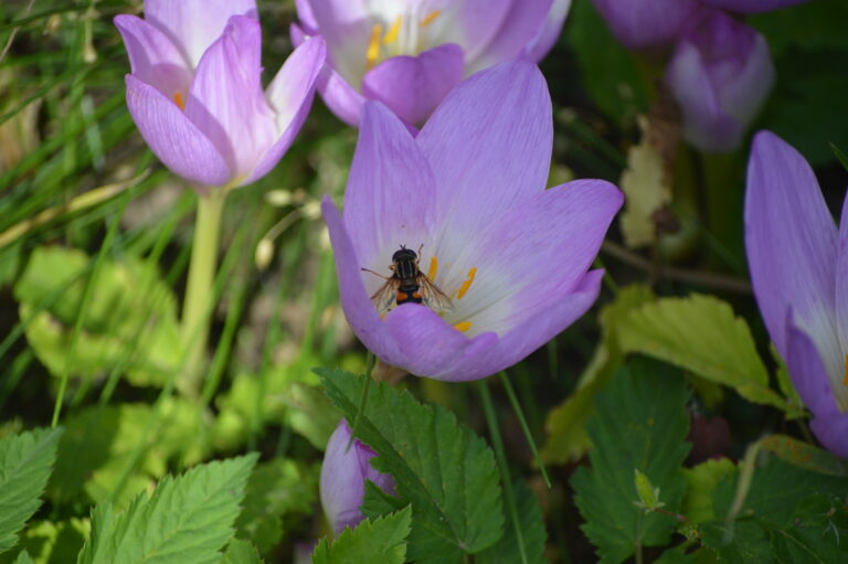 Piekdienas astroloģiskās laika ziņas – brīdis, kad laiks pastrādāt un vakarā palutināt sevi ar mīlestību un maigumu