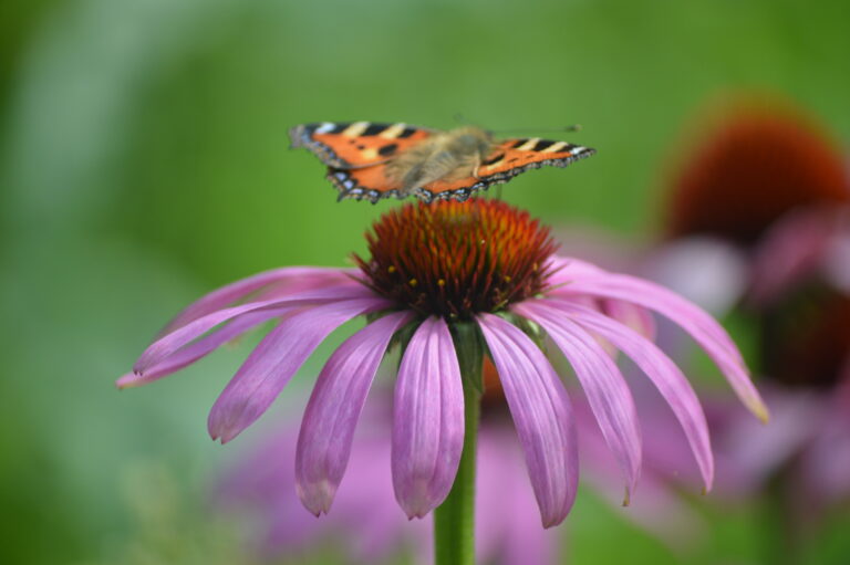 Par mums, mammām, kad mīlestību sajaucam ar kontroli un īpašnieciskumu