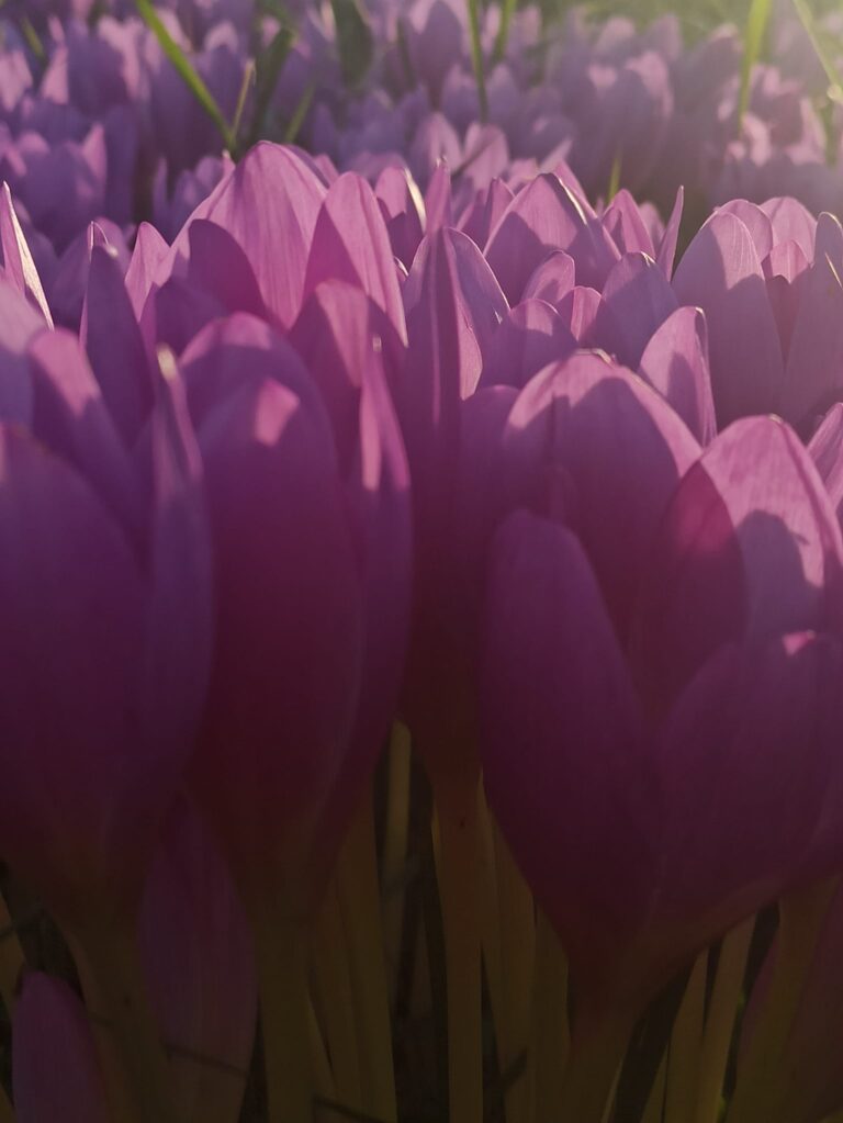 Par mīlestību (pirms astotā marta)