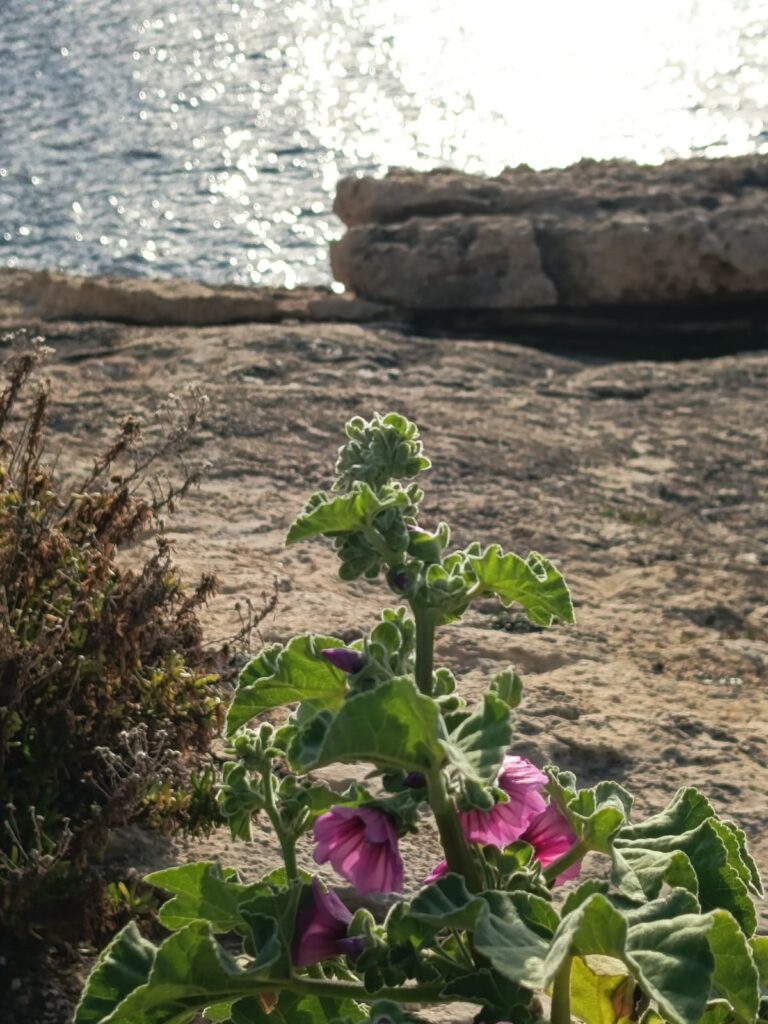 Sestdiena – kad saturns sāk atbalstīt un ļauj ieklausīties sevī