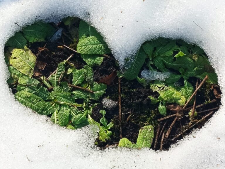 Svētdiena – uguns, ūdens, saule un MĪLESTĪBA