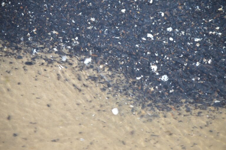 Sena budistu – Trīs patiesību prakse