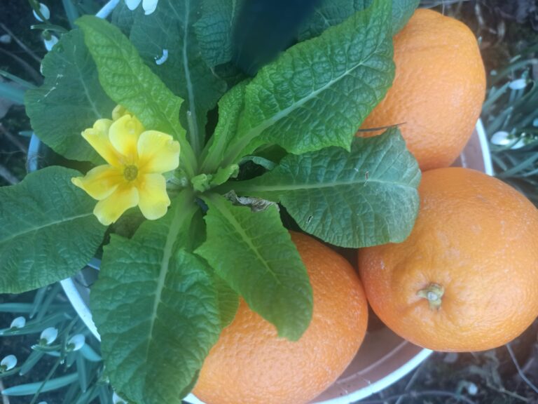 Sestdiena, kad kluss ūdens rok dziļas bedres