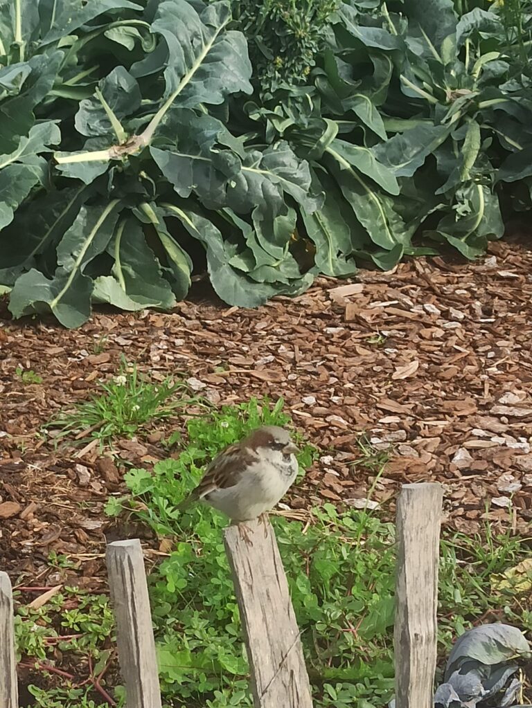 Trešdiena -brīdis, kad pasaule novelk greznos tērpus, uzrota piedurknes un sāk kārtot lietas