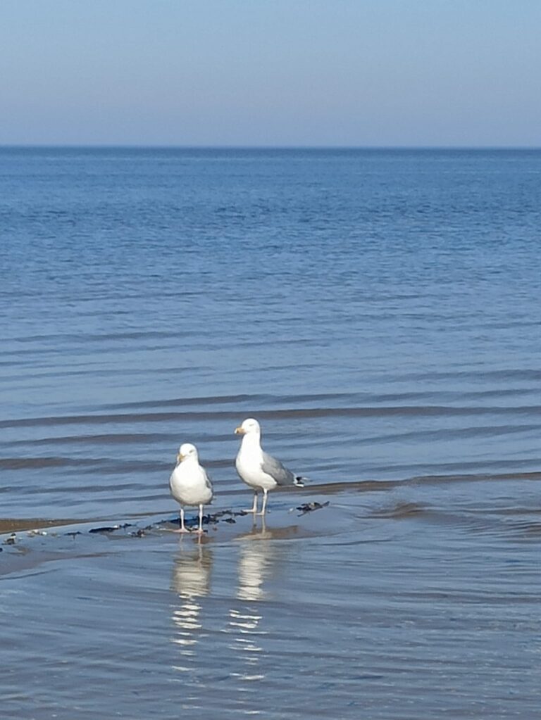 Pirmdiena – Mēness diena – tā būs kā Salds miers starp debesu “dzirnakmeņiem”