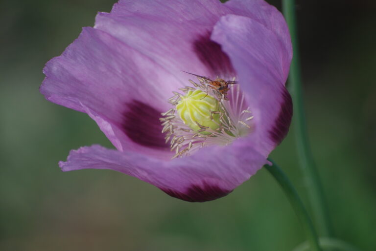 Piektdiena venēras diena – skaistuma un mērķtiecības apvienojums