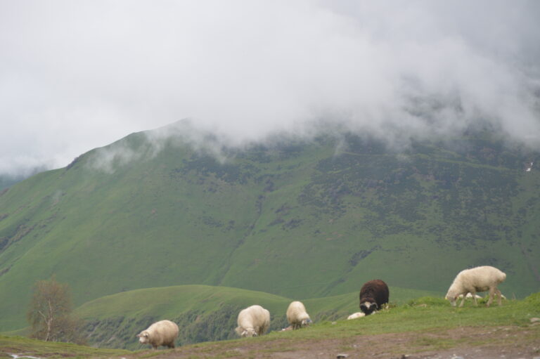 Ceturtdiena – Jupitera diena(guru diena), gudrības un dāsnuma diena