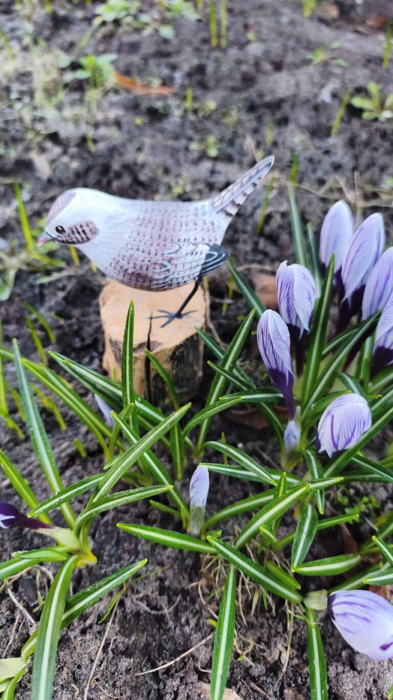 Zaļā ceturtdiena, ticējumi, rituāli, nozīme