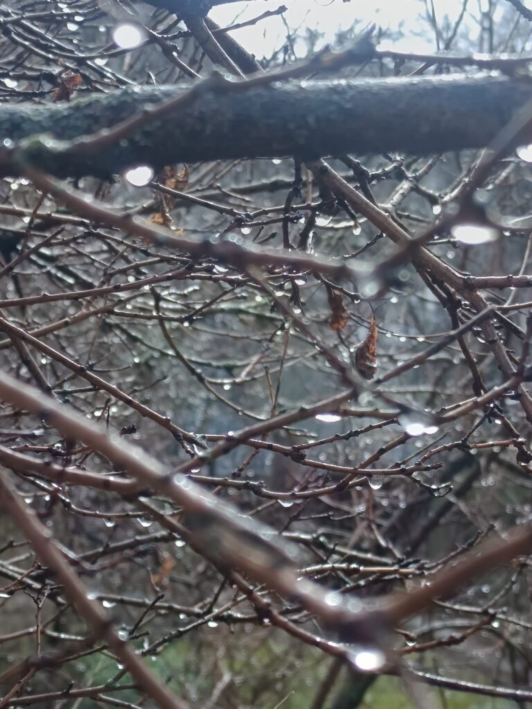 Otrdiena – Mangalavar (Marsa diena)