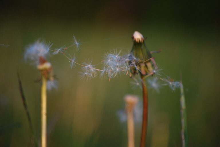 Spēcīgs starta punkts Jaunam projektam 19.aprīlis