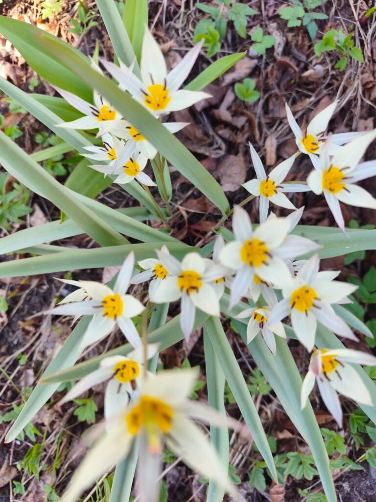 Kad ķermenis runā, bet prāts sāk baidīties