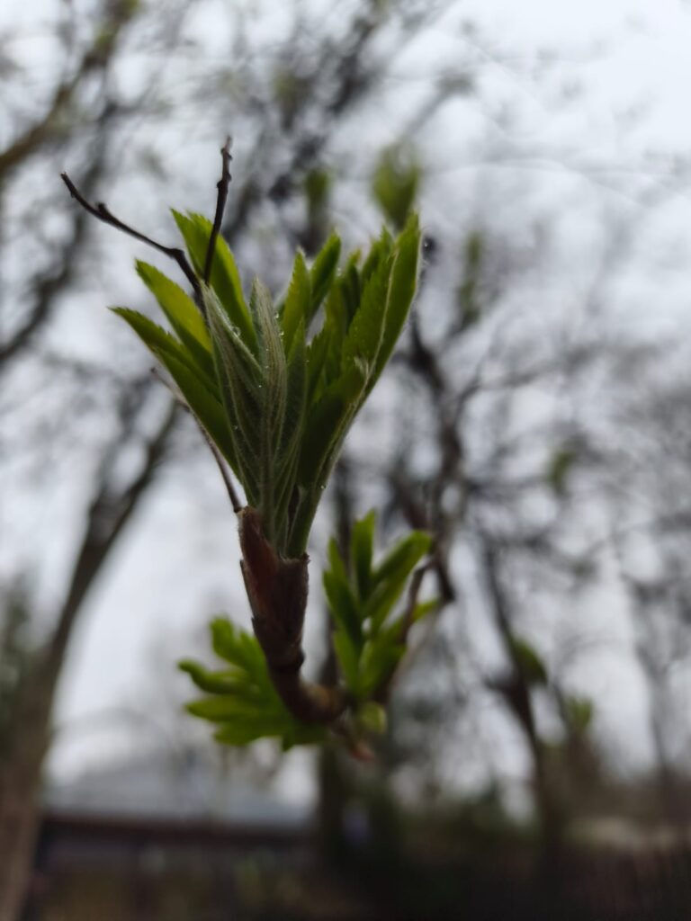 Piektdiena 17.aprīlis, kad tumsa satiekas ar gaismu
