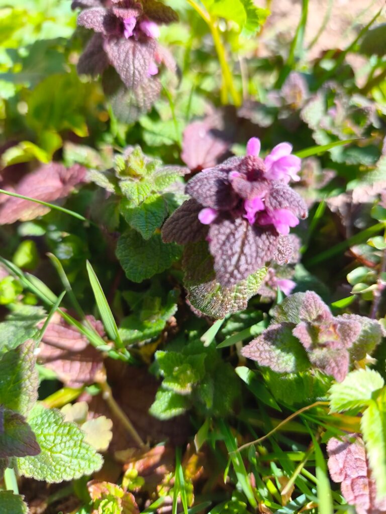 Sestdiena 18.aprīlis, diena, kad disciplīna satiekas ar ātrumu