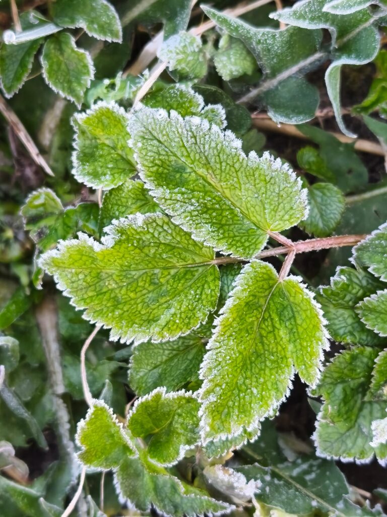 Pirmdiena, 20. aprīlis, būs kā silts, auglīgs lietus (enerģijas ziņā)