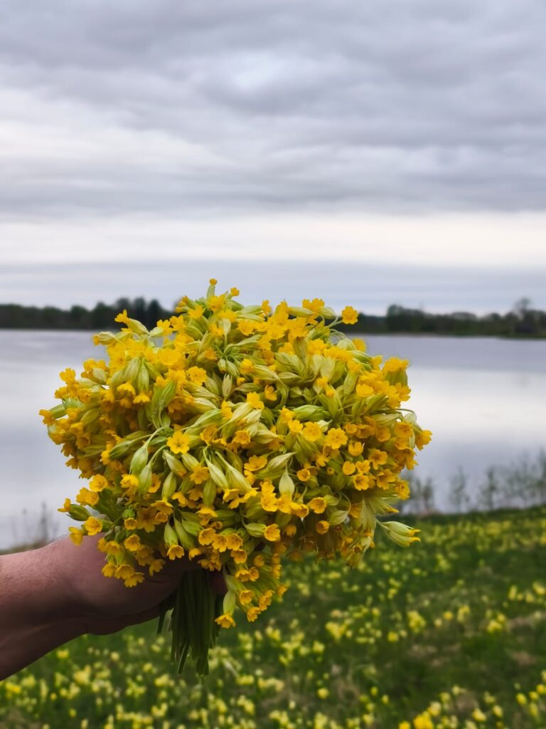 Dvēseļu satikšanās -mammas un bērna saikne Vēdu gaismā