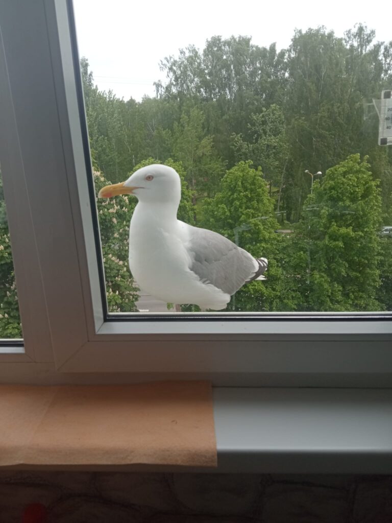 Otrdiena – Meistarības un apzinātas rīcības diena