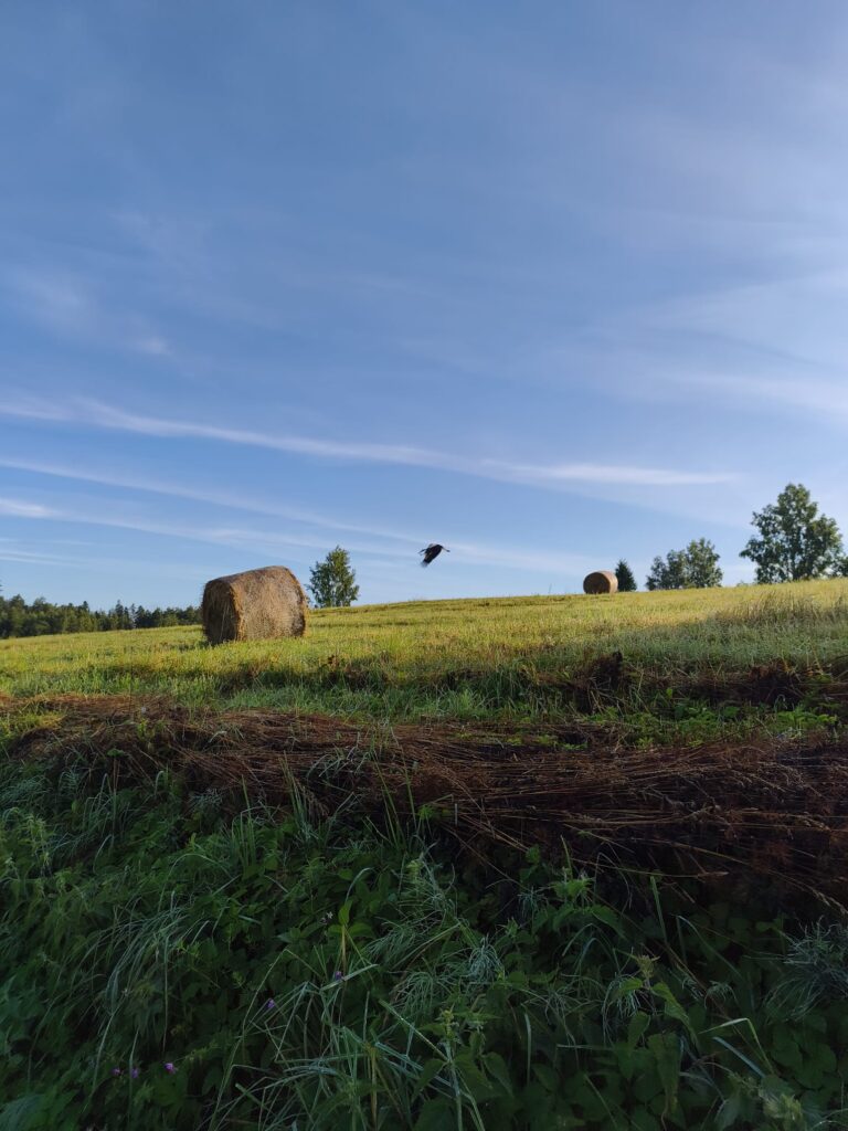 2026.gada 19. AUGUSTS — MERKURA DIENA